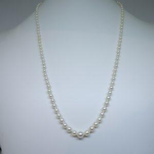 long collier en perles de culture et fermoir or