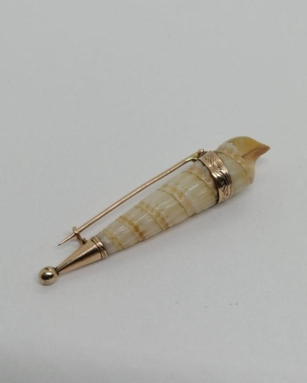 Broche or 14ct, cerclage décoré et coquillage naturel, vers 1900-20.
