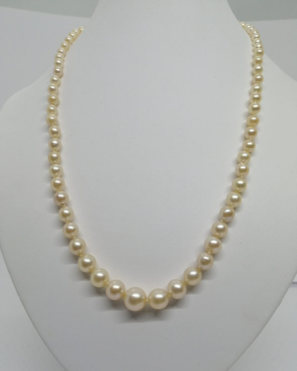 Collier fermoir or, chute de 77 perles de culture naturelles, vers 1940-60.