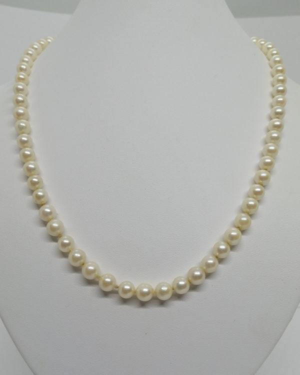 Collier fermoir or, choker de 64 perles de culture.