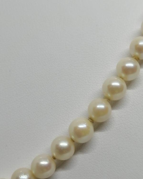 Collier fermoir or, choker de 64 perles de culture. – Image 2