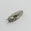 Broche argent, cigale, finement travaillée, vers 1900-20.